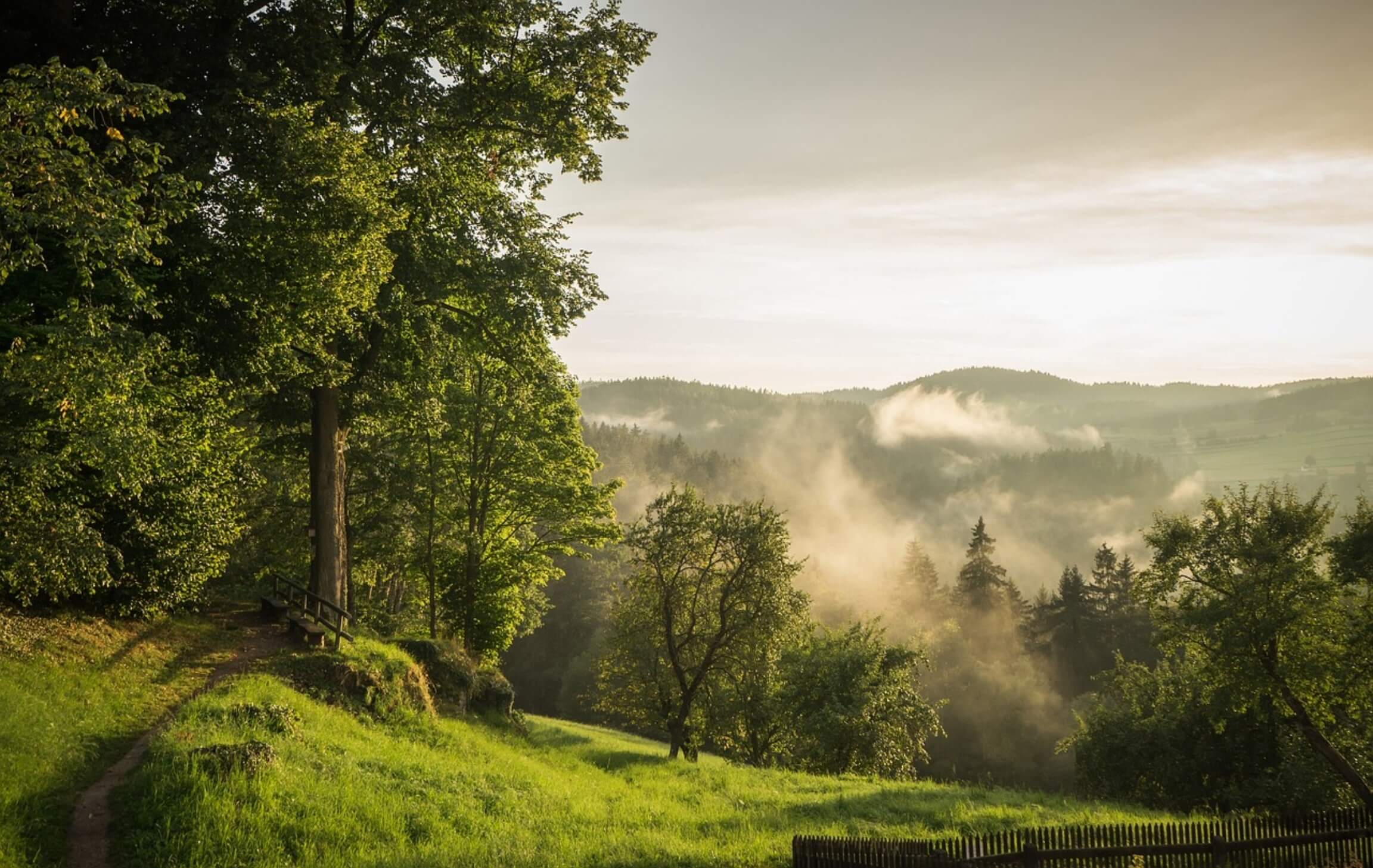 Niederösterreich2